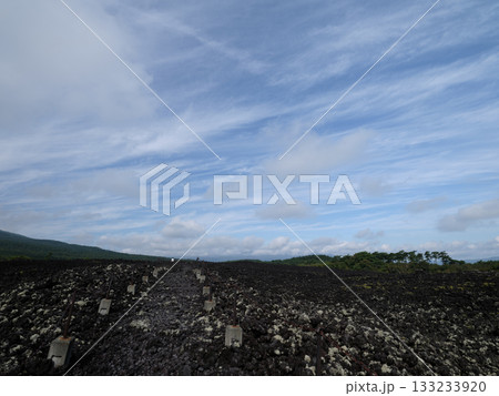 焼き走り溶岩流 -岩手山（特別天然記念物） 133233920