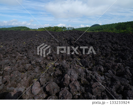焼き走り溶岩流 -岩手山（特別天然記念物） 133233924