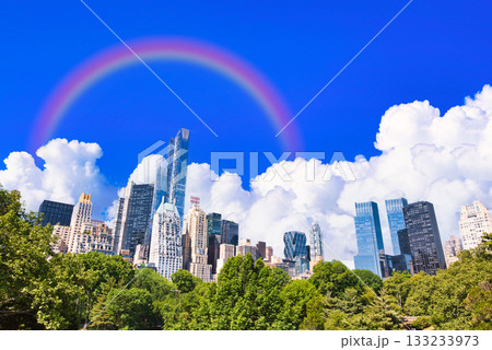 セントラルパークからのマンハッタンビル群 133233973