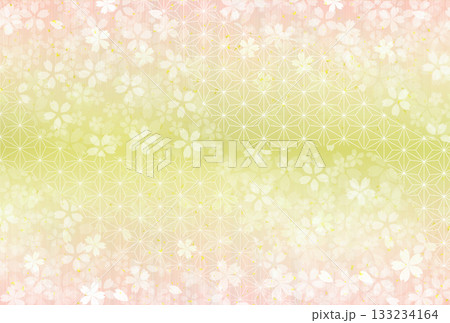 和柄　桜　年賀状　春　背景	 133234164