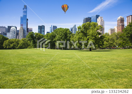 セントラルパークの芝生と周辺ビル群 133234262