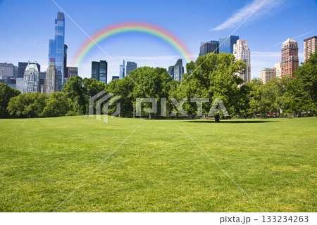 セントラルパークの芝生と周辺ビル群 133234263