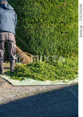 Japanese Gardener 133234299