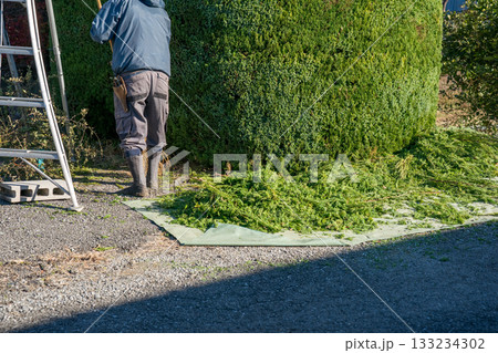 Japanese Gardener 133234302