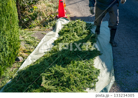 Japanese Gardener Japanese Gardener 133234305