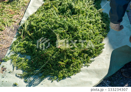 Japanese Gardener Japanese Gardener 133234307