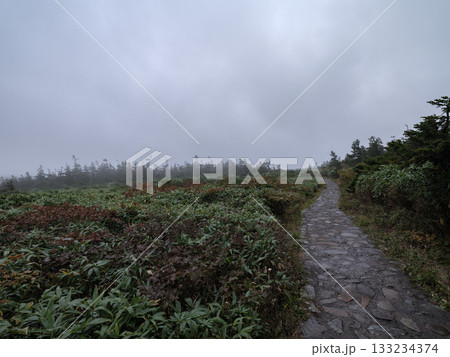 八幡平の登山道 - 十和田八幡平国立公園 133234374
