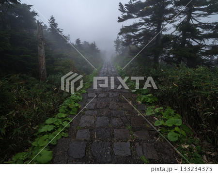 八幡平の登山道 - 十和田八幡平国立公園 八幡平の登山道 - 十和田八幡平国立公園 133234375