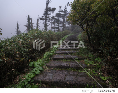 八幡平の登山道 - 十和田八幡平国立公園 133234376
