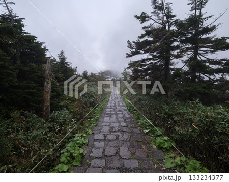 八幡平の登山道 - 十和田八幡平国立公園 八幡平の登山道 - 十和田八幡平国立公園 133234377