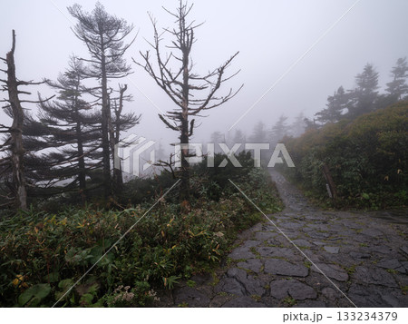 八幡平の登山道 - 十和田八幡平国立公園 133234379