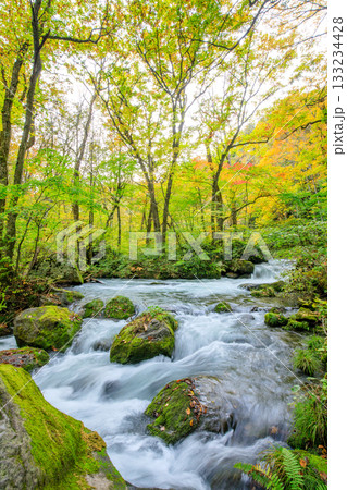 秋の奥入瀬渓流 青森県十和田市 秋の奥入瀬渓流 青森県十和田市 133234428