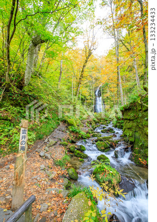 秋の奥入瀬渓流 雲井の滝 青森県十和田市 秋の奥入瀬渓流 雲井の滝 青森県十和田市 133234433