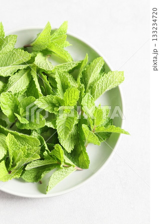 スペアミント 133234720