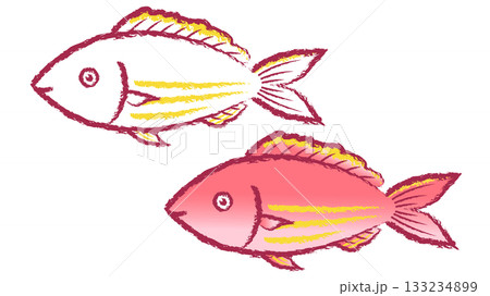 イトヨリ 133234899