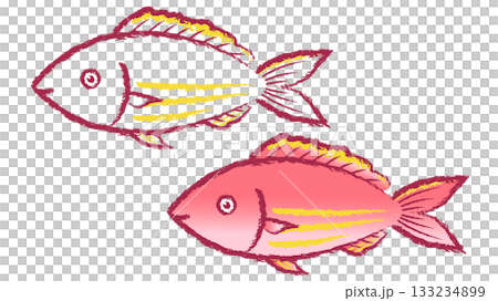 イトヨリ 133234899