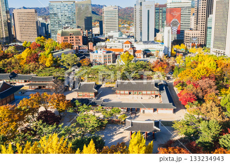 秋のソウル　徳寿宮 133234943