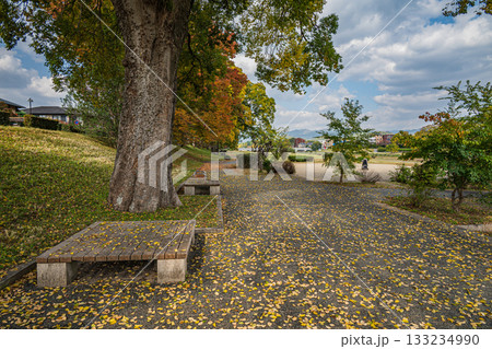 秋の鴨川風景 133234990