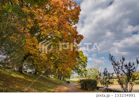 秋の鴨川風景 秋の鴨川風景 133234991