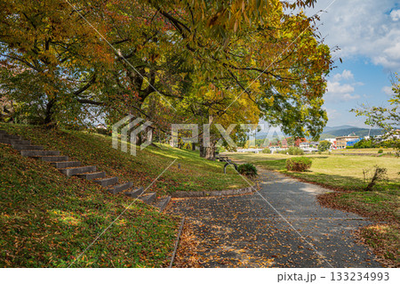 秋の鴨川風景 秋の鴨川風景 133234993
