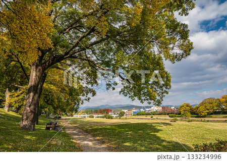秋の鴨川風景 秋の鴨川風景 133234996