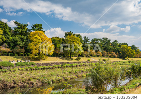 秋の鴨川風景 133235004