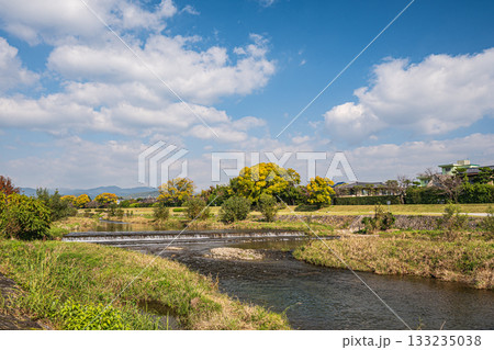 秋の鴨川風景 133235038