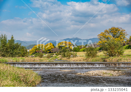 秋の鴨川風景 秋の鴨川風景 133235041