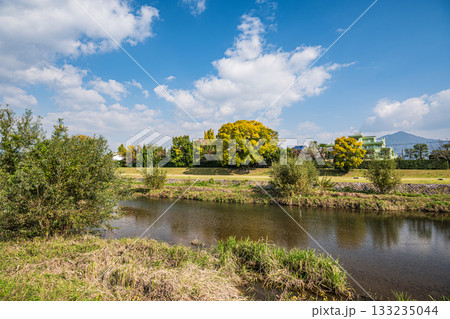 秋の鴨川風景 133235044