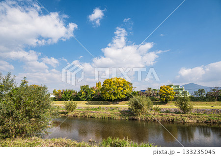 秋の鴨川風景 133235045