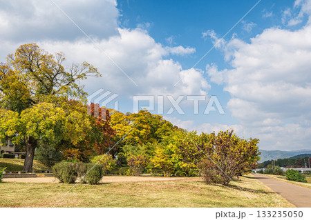 秋の鴨川風景 133235050
