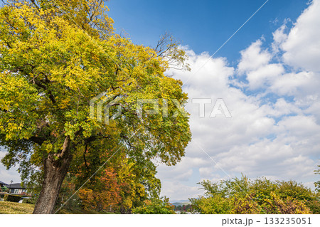 秋の鴨川風景 秋の鴨川風景 133235051