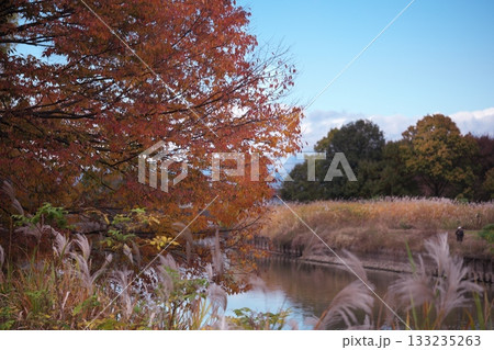 紅葉と散歩道 133235263