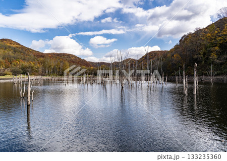 落合ダムの紅葉 落合ダムの紅葉 133235360