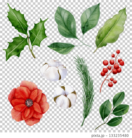 Watercolor Christmas flowers and branches, Christmas botany, decor.. 133235480