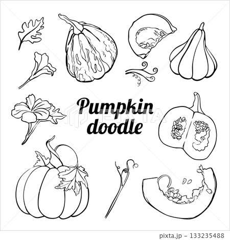 Pumpkin Doodle set. Hand-drawn pumpkin. 133235488