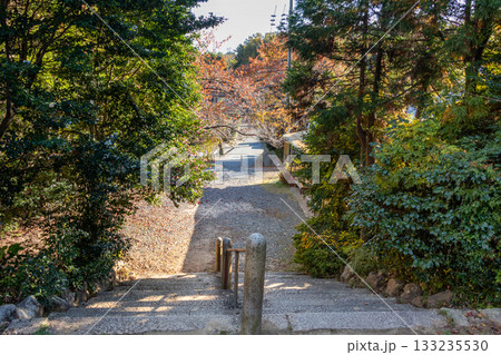 木々が色づきはじめた秋の山道 木々が色づきはじめた秋の山道 133235530