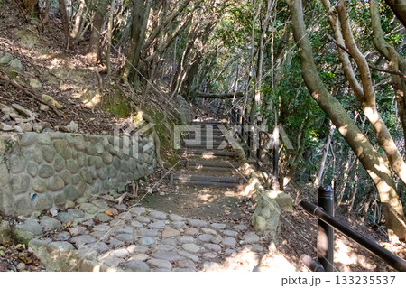 薄暗くて狭い登山道 133235537