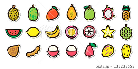 トロピカルフルーツの手描きイラストステッカーセット　食材、ヘルシー、果実のベクター素材 133235555