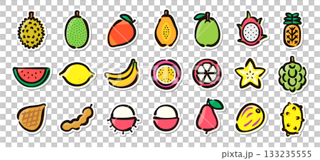 トロピカルフルーツの手描きイラストステッカーセット　食材、ヘルシー、果実のベクター素材 133235555