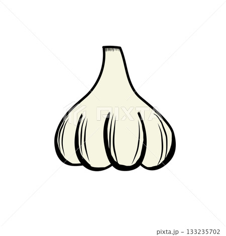 イラスト素材: ニンニクのカットアウトイラスト イラスト素材: ニンニクのカットアウトイラスト 133235702