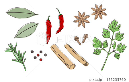 ハーブとスパイスのイラスト ハーブとスパイスのイラスト 133235760