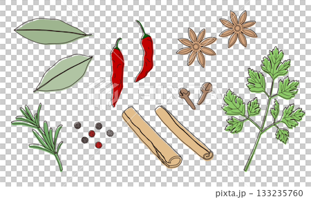 Herbs and spices illustration 133235760