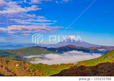 【神奈川県】紅葉が美しい箱根大観山から、芦ノ湖の雲海と富士山　夜明け 133235766