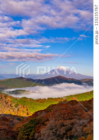 【神奈川県】紅葉が美しい箱根大観山から、芦ノ湖の雲海と富士山　夜明け 133235767