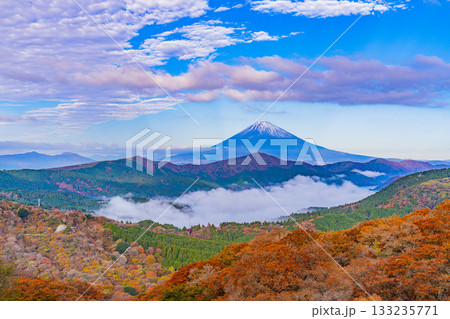 【神奈川県】紅葉が美しい箱根大観山から、芦ノ湖の雲海と富士山　夜明け 133235771
