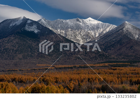 カラ松の紅葉と初冠雪の山 133235802