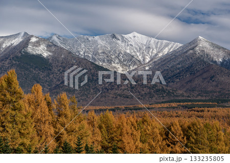 カラ松の紅葉と初冠雪の山 カラ松の紅葉と初冠雪の山 133235805