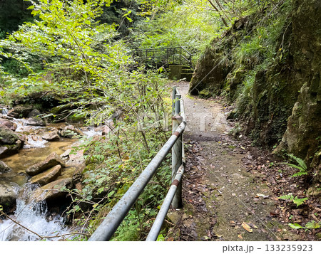 二段滝に続く遊歩道。広島県安芸太田にある龍頭峡。 二段滝に続く遊歩道。広島県安芸太田にある龍頭峡。 133235923