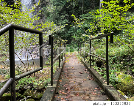 二段滝に続く橋。広島県安芸太田にある龍頭峡。 二段滝に続く橋。広島県安芸太田にある龍頭峡。 133235925